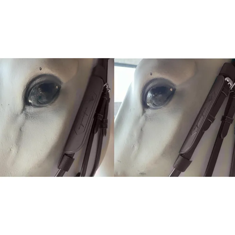 Equipe Blinkers - Brown